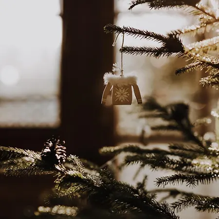 Sumi Potok Siedlisko Bed and Breakfast Nowe Bystre